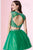 Alyce Paris Homecoming - 4437 Dress in Emerald Nude