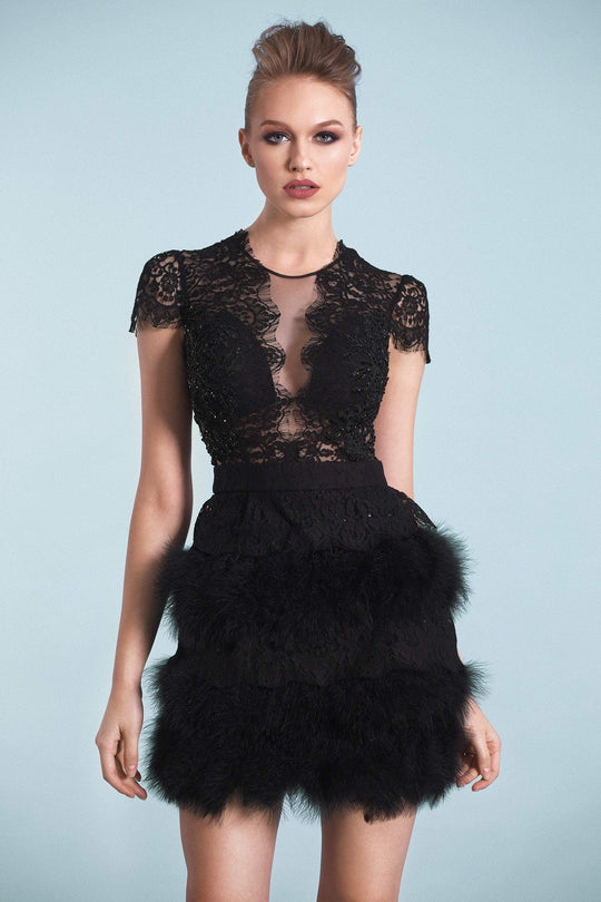 Cristallini - SKA543 Lace Illusion Jewel Feathered Dress In Black