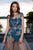 Cristallini - SKA 890 Floral Applique Cap Sleeve Gown In Blue and Neutral