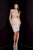 Terani Couture - 1722H4601 Embellished Illusion Bateau Sheath Dress in Neutral