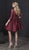 Tiffany Homecoming - 27202 Illusion Quarter Sleeve Lace A-Line Dress