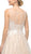 Cinderella Divine - UE009 Illusion Neckline Lace Bodice Tulle Gown In Nude