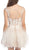 Eureka Fashion - 3911 Lace Embroidered Mesh A-line Dress In White