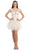 Eureka Fashion - 3911 Lace Embroidered Mesh A-line Dress In White