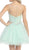 Eureka Fashion - 3722 Bejeweled Illusion Scoop A-line Dress In Green